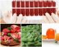 Diet berdasarkan golongan darah dari sudut pandang ilmiah Daftar nutrisi berdasarkan golongan darah