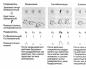 Stymulanty ośrodkowego układu nerwowego Rodzaje stymulantów