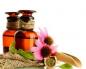 Echinacea: эмийн шинж чанар, хэрэглэх заалт, эсрэг заалтууд